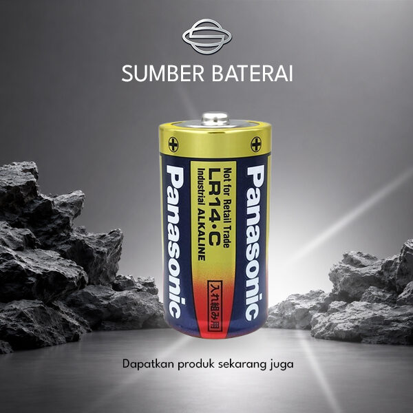Baterai Panasonic Alkaline D R20 (XW) 2 pcs 1.5V