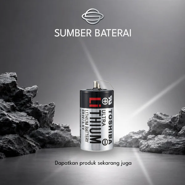 Baterai Toshiba ER3V/3,6Volt