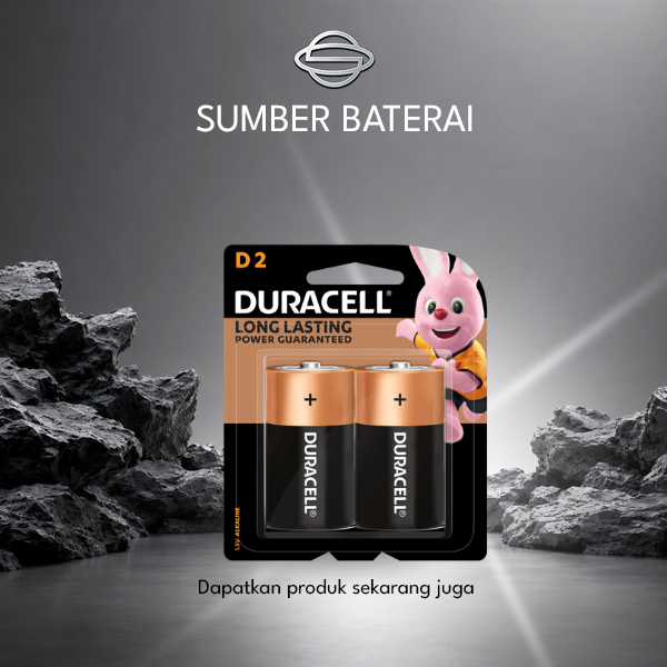 Baterai Duracell Size D Bp 2